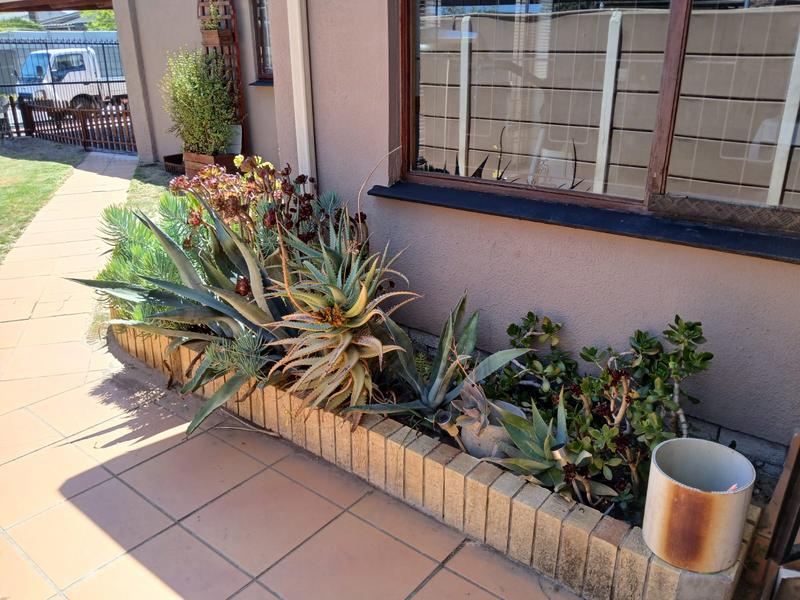 4 Bedroom Property for Sale in Mabille Park Western Cape